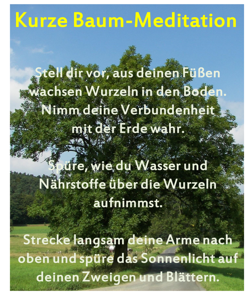 Baum-Meditation
