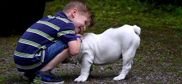 Kleiner Junge mit Hund