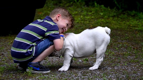 Kleiner Junge mit Hund